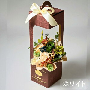 y1125N[|P3{z ăMtg \[vt[ A[eBtBVt[ a v[g t[ Mtg ̓ \ 蕨  ސE  CeA AW