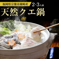 九州 天然クエ 鍋 セット しゃぶしゃぶ 2〜3人前 計800g 【冷凍】 福岡 クエ しゃぶしゃぶ 産地直送 産直…