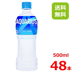 ANGAX 500mlPET/24{×2/48{/2P[X/X|[chN/MǑ΍