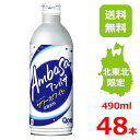 【15%offクーポン】アンバサ サワーホワイト 490mlボトル缶/24本入り×2箱/48本/2ケース/北東北限定