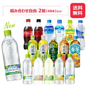 RJER[Аi 500-650mlPET 2Zbg/24{×2Zbg/48{/2P[X/RJER[/ANGAX//u/₩̔/EÉE/͂