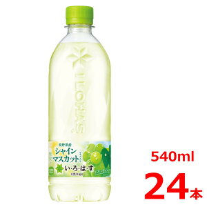 EÉE VC}XJbg 540mlPET/24{/͂/