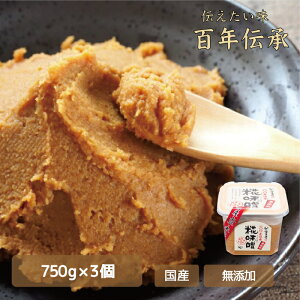 yz100N` X 750g×3@󗈉@Y@Y@Ì