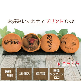 名入れ オリジナルどら焼き 福菓 15個入り ロゴ メッセージ イラスト (手書きもOK) ありがとう 顔 ギフト プレゼント 誕生日 記念品 退職 お菓子 和菓子 どら焼き あんこ オリジナル オーダー 個包装 お配り メッセージ入り 写真入り 退職の挨拶 退職時のお菓子 面白いお菓子