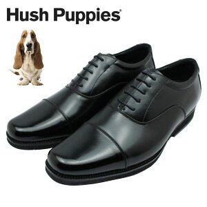 nbVps[ Y rWlXV[Y 1671 M-1671NT H Xg[g`bv XNGAgD 3E {v Hush Puppies ʋC am C  ubN