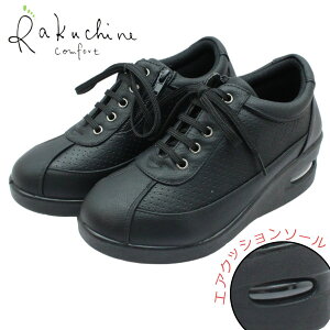 Rakuchine 炭 RtH[gV[Y fB[X 280  L 3e EH[LOV[Y GA[NbV R t@Xi[ EFbW\[