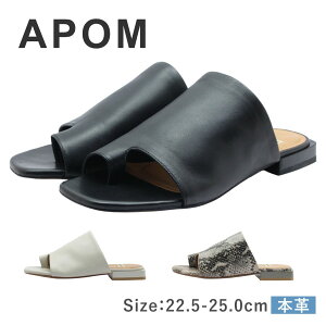 APOM A| fB[X ~[ 173 Jo[ gO T_ XNGAgD U[ Xl[N {v v _炩 ₷  C   ubN AC{[ O[Rr