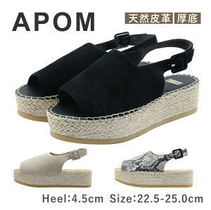 APOM A| fB[X T_ 136 Xgbv I[vgD XG[h J^IV W[g EFbW ][g   ₷ C   ubN x[W O[