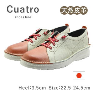 Cuatro NAg Ng fB[X V[Y PX 02 EH[LO U[ v  R y y ₷ { Y L 4E C   g}g zCg