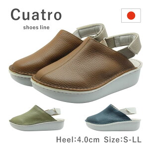 Cuatro NAg fB[X T_ 21536 EhgD EFbW Xgbv vbgtH[  ₷ ₷ { Y 4E C   uE lCr[ J[L