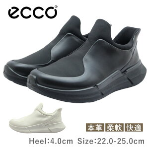 ECCO GR[ BIOM 2.2 W fB[X V[Y 830823 51052 59113 EBY EH[LO Xj[J[ U[ v ₷ R C   zCg ubN