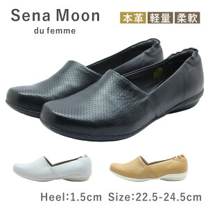 SenaMoon Zi[ fB[X V[Y 3682 Xb| v[gD U[ ₷ _炩 y y v C    ubN zCg rXPbg