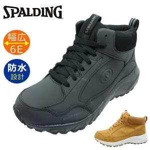 X|fBO Y Xm[V[Y SFW400 L 6E h h y Xj[J[ RC nCJbg Xmg ALX Achilles SPALDING