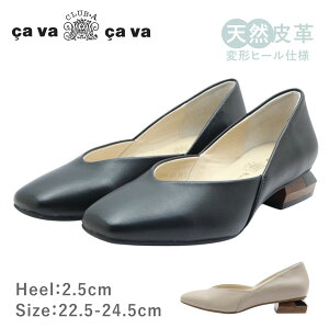 cavacava T@T@ ToTo 1320655 fB[X pvX [q[ XNGA U[ {v C