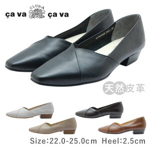 cavacava T@T@ ToTo 3720395 fB[X V[Y pvX tbg U[ {v { C