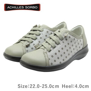 Achilles SORBO ALX \{ C 568 ASC 5680 CgO[I[N fB[X V[Y EH[LO 3E {v C
