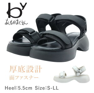 byȂ 8740185 fB[X X|[c T_ Xgbv   C