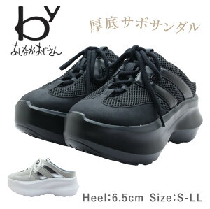 byȂ 8990027 fB[X T{ T_ bV R  C