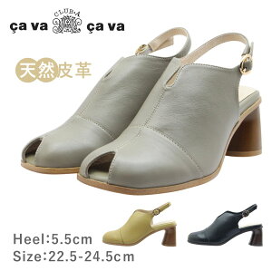 cavacava T@T@ ToTo 1320579 fB[X T_ obNXgbv I[vgD {v C