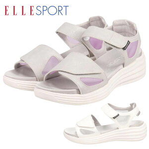 G X|[c ELLESPORT xN T_ ESP12597 y  }WbNe[v obNoh }hX