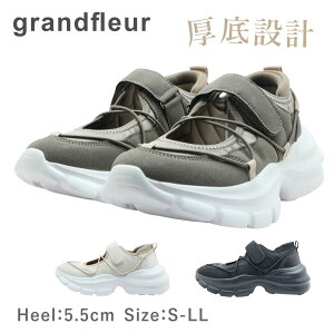 grandfleur Oht[ QNK 2600 fB[X V[Y Xj[J[ X|[eB  C