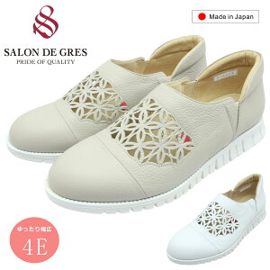 ThO[ SALON DE GRES fB[X U[ Xb| SL8405M L4E y { p`O {v 6704 TChSA JWAV[Y