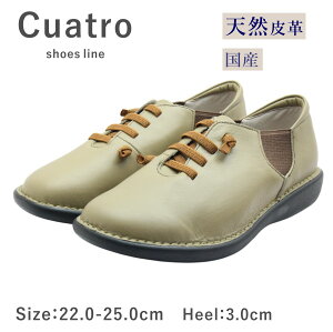 Cuatro NAg Ng 19621 fB[X V[Y Xb| EH[LO TChSA U[ {v L { C