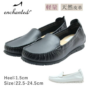 enchanted G`ebh 22011 fB[X V[Y JV J U[ {v _炩 y C