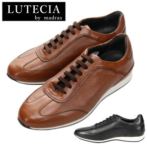 [eVA LUTECIA Y U[Xj[J[ LU8001 rWlX JWA 3E {v 8001 amC RC }hX