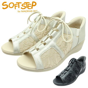\tgXebv Soft Step fB[X T_ EFbW\[ SSP 3802 I[vgD `[[X TChSA RC }hX