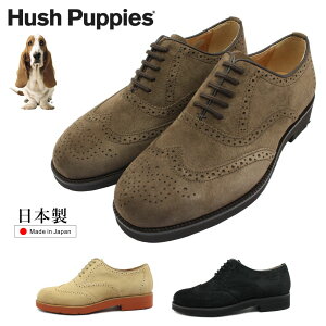 Hush Puppies nbVps[ Y M-121T JWAV[Y U[ XG[h ECO`bv { IbNXtH[h 121T am C