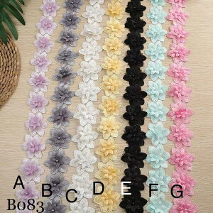 hJ r[Yt EFfBOhXp[c hXp[c {e[v [Xe[v [Xp[c u[h ԕ [X{