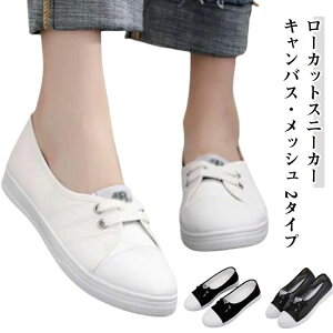 f JWA LoX oGV[Y [Jbg 킢 bV ₷ Xj[J[ ؂ C _X 2^Cv