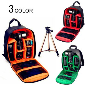 J Y ~[X fWJ Y[Ή J[Ή bNTbN fB[X Y ჌t JbN