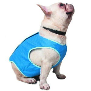 ybgp ₷ ڐG⊴ p ~ MǑ΍ đ΍ ЂxXg xXg  N[ ybg ybg L 