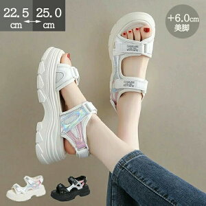 ₷ gAbv ʃt@Xi[ ϖ 6cmq[ Xj[J[T_ X|T fB[X X|[cT_ T_