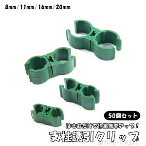 xUNbv 50Zbg |pNbv NXoh ͂ߍݎ 360x px Œ xpi