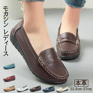 Ȃ pvX 傫TCY L ʋC hCrOV[Y _炩  [t@[ {v ₷  fB[X