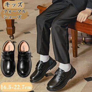 \ ₷ [t@[ _XV[Y  y ʋC ₷ _炩 ~ vC hXV[Y C q