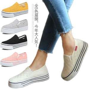 r H  t V[Y C  Xj[J[ Xj[J[ fB[X Xb|