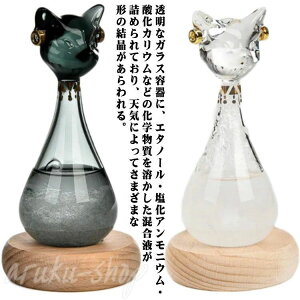 oXe COKi A_[\̔L QC[ Cیv  VC\ V\ e|hbv Xg[OX VC L