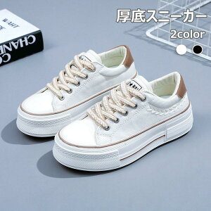 R x[VbNXj[J[ Vv ʋC R[gV[Y tďH [Jbg LoX WjA JWA fB[X 4cm