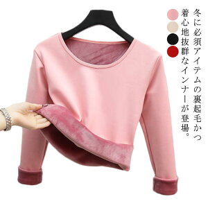  TVc n  g ɒg Jbg\[ q[gebN h fB[X Ci[ N A_[EFA Ci[