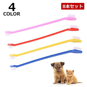  C L LpuV ybgpuV  oPA ybg Ԃ炵 puV ͂Ԃ炵 ^ L  uV