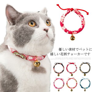 g t[ ԕ ANZT[  Rbg `[J[  a y _炩 hbO  Ck lR Lp p ybgpi