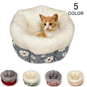 ybgpxb NbV Lxbg ^  ~p  ӂӂ \t@[ LbgnEX ybg xbh Lp p