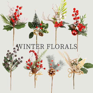 I[ig NX}Xc[  u Zbg fBXvC  ƒp } tFCNt[