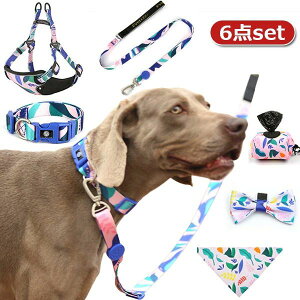 U 킢  ^ ^ ^ p 6_Zbg ybgp n[lX 悾ꂩ gїpݑ lN^C [h