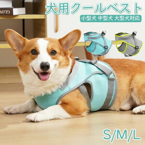 U MǑ΍ ObY Ђ N[xXg G炷 N[   N[EFA  ^ ^ N[ ėp 