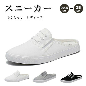 ʋ ₷ ~ EȒP j[J[ y ʋC V[Y LpX Xb| fB[X Xj[J[ ƂȂ